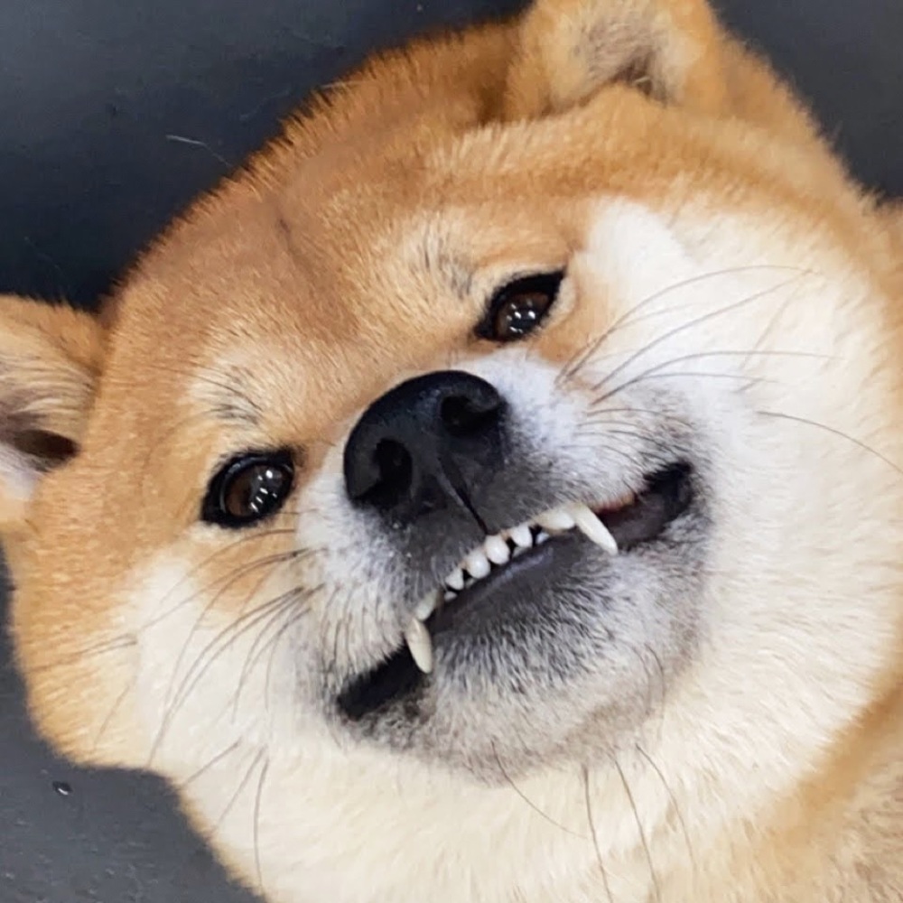 Meet your Posher, Vasiliki